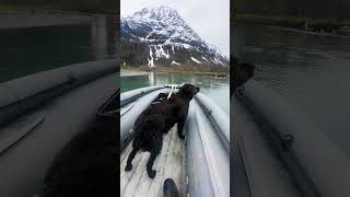 Solar Strela 470 Cruising #solar #jetboat #alaska