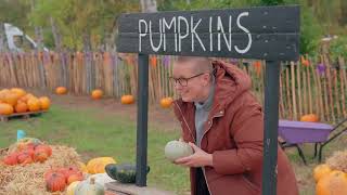 The Pumpkin Patch in 2025