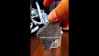 Ist dieses Metall wertvoll? #Metall #Edelmetall #Schatzsuche
