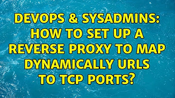 DevOps & SysAdmins: How to set up a reverse proxy to map dynamically URLs to TCP ports?