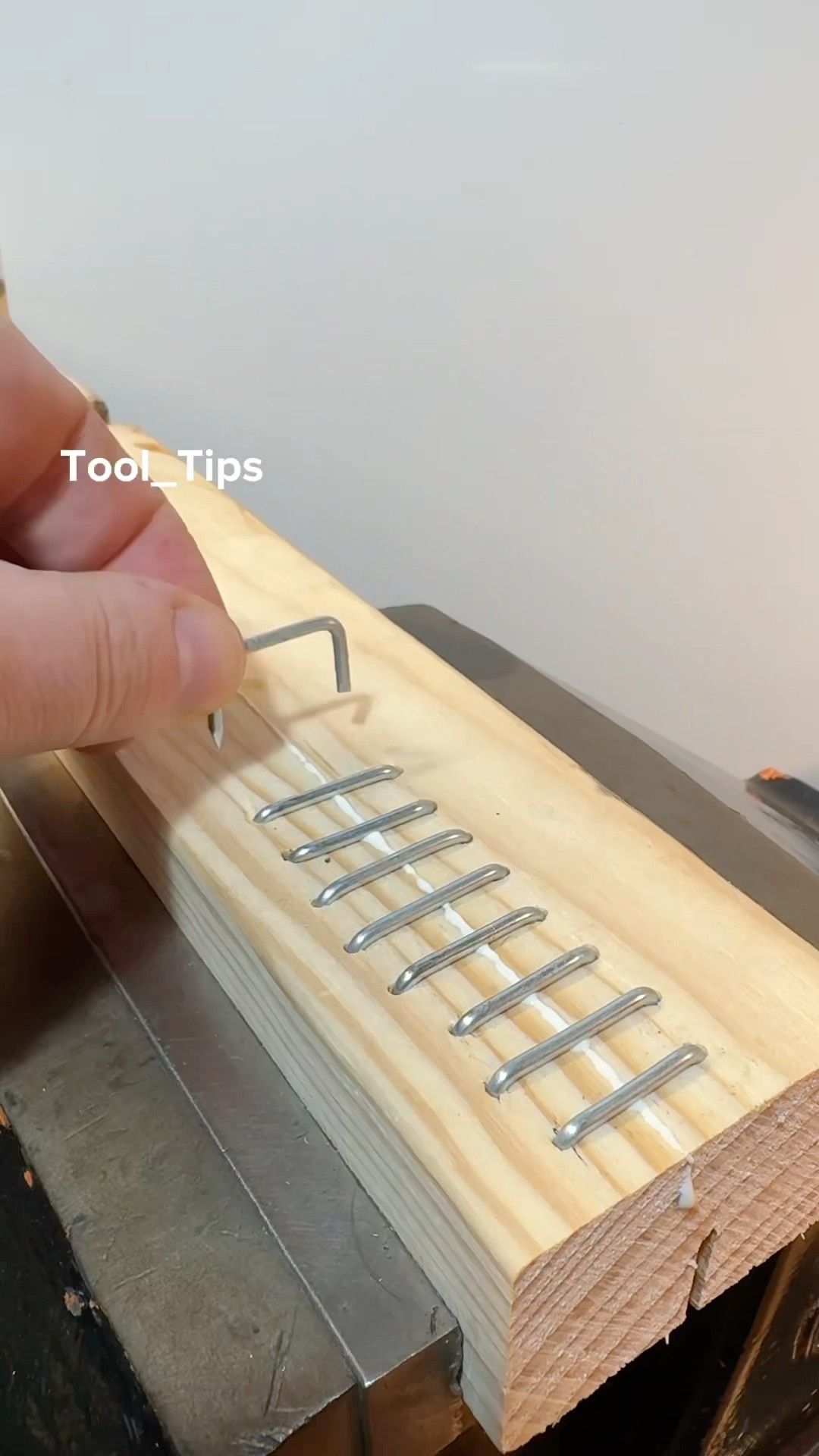 The Wild Tips ?