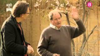 Això és mel (cap. 31). Sebastià Vallespir i la història dels trencadors de marès de s'Arenal