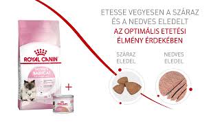 Royal Canin Mother & Babycat dry screenshot 1