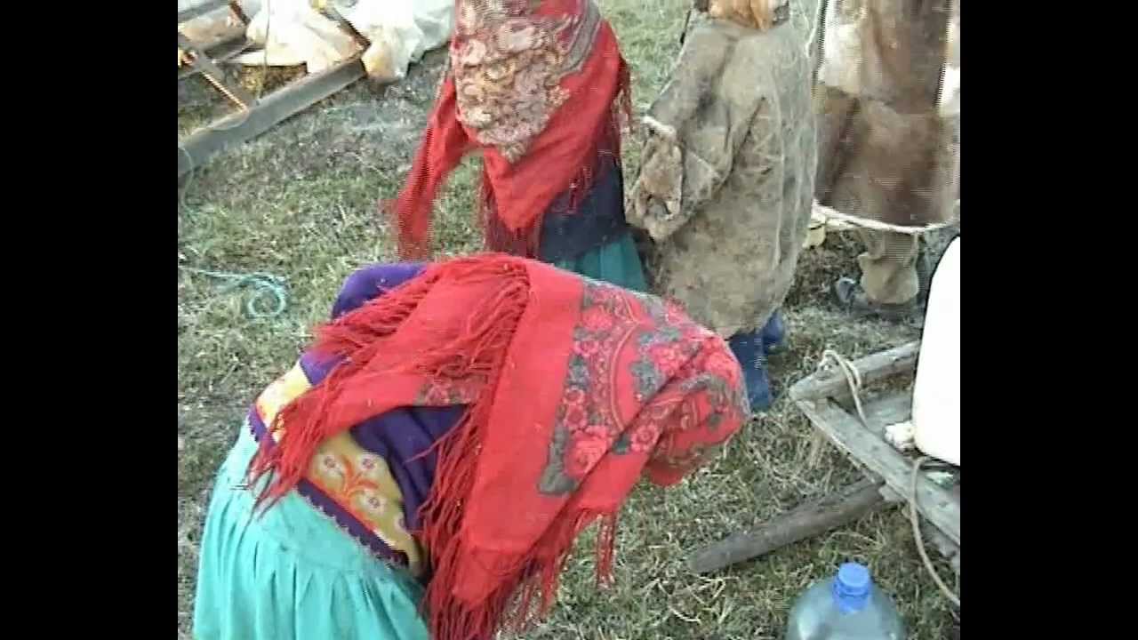 Гнус в лесотундре и тундре.mp4 - YouTube