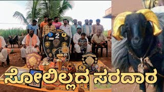 Solillada saradar sheep interview ( ಸೋಲಿಲ್ಲದ ಸರದಾರ ಕರ್ನಾಟಕ ಕದ ಕೇಸರಿ )