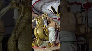 ஶ்ரீ வைத்திய வீரராகவர் பெருமாள் ~ சித்தரை பிரமோத்ஸவம் காலை ஹம்ஸ வாஹனம் #trendingshorts
