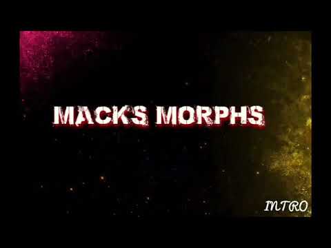 morphe powder palette Wee update on what’s going on here at MACKS MORPHS and some tips for your egg incubation boxes