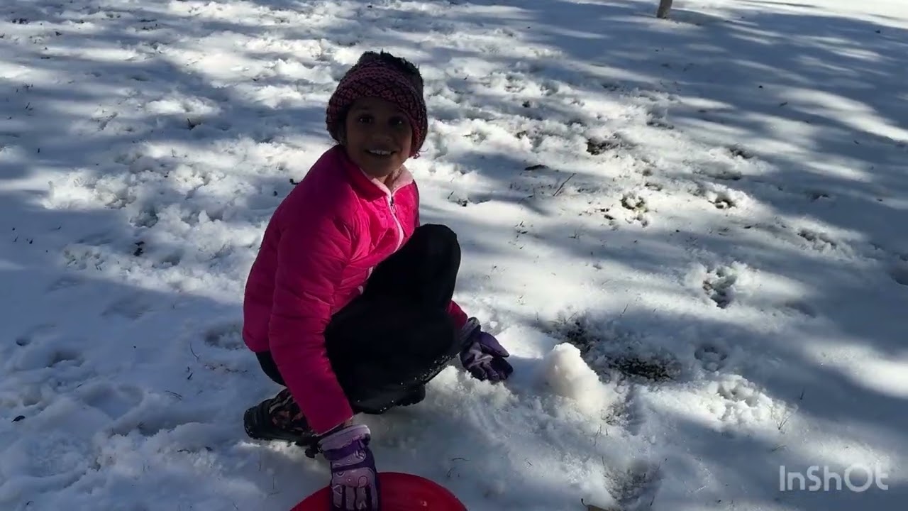 Snow in Austin❄️