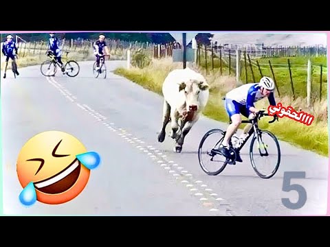 ضحك السنين تجميع مواقف مضحكه هتفطسك وهتخليك تضحك حتى البكاء مواقف لا تصدق لاكثر الاشخاص حظهم نحس