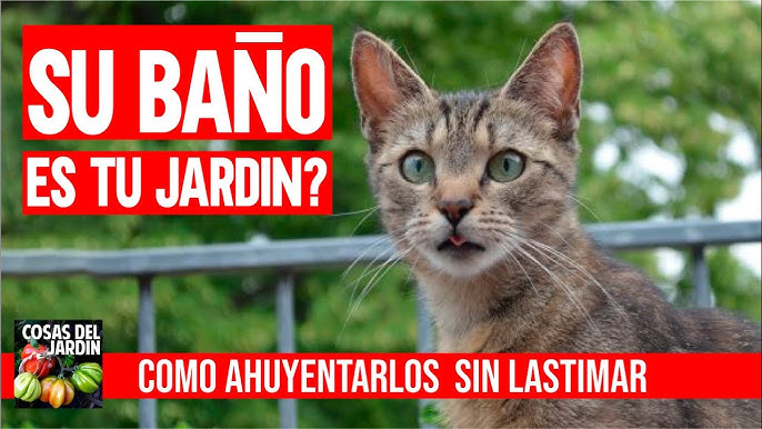 Ahuyentador De Perros Repelente Para Gatos Aves Espanta Animales Para El  Jardín