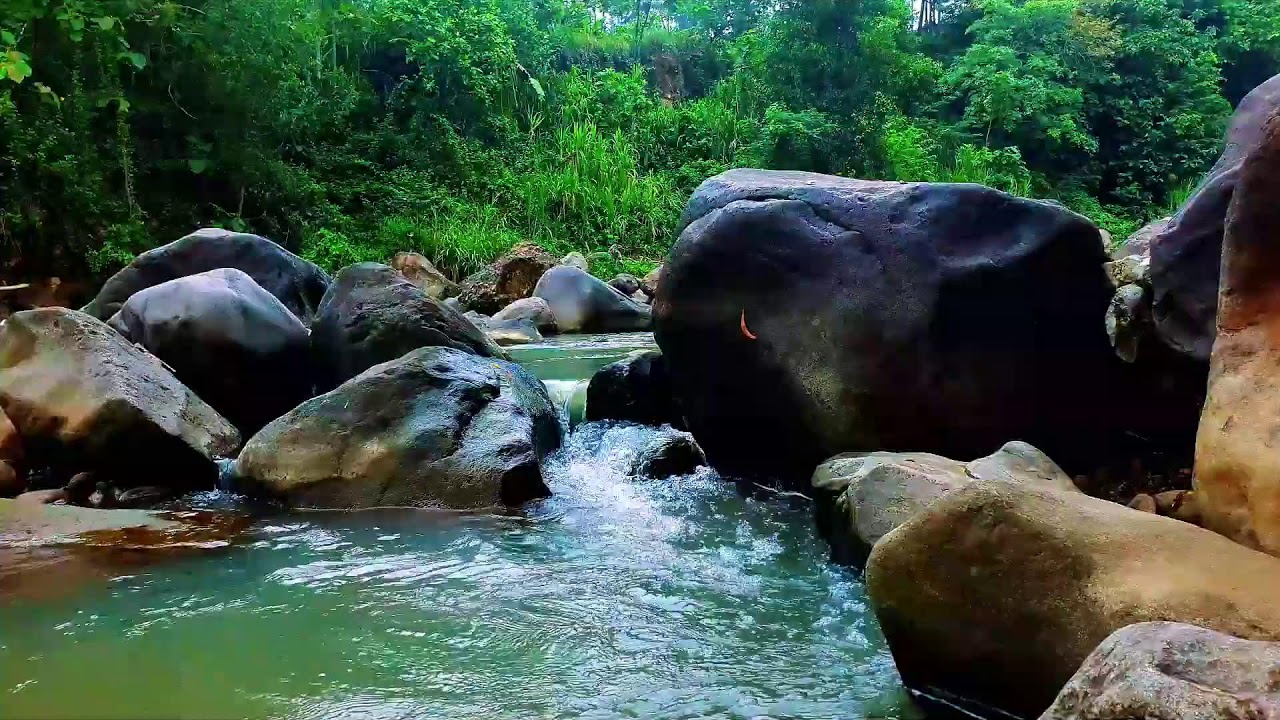 12 Hours of Peaceful River Flowing Water – Natural Ambience