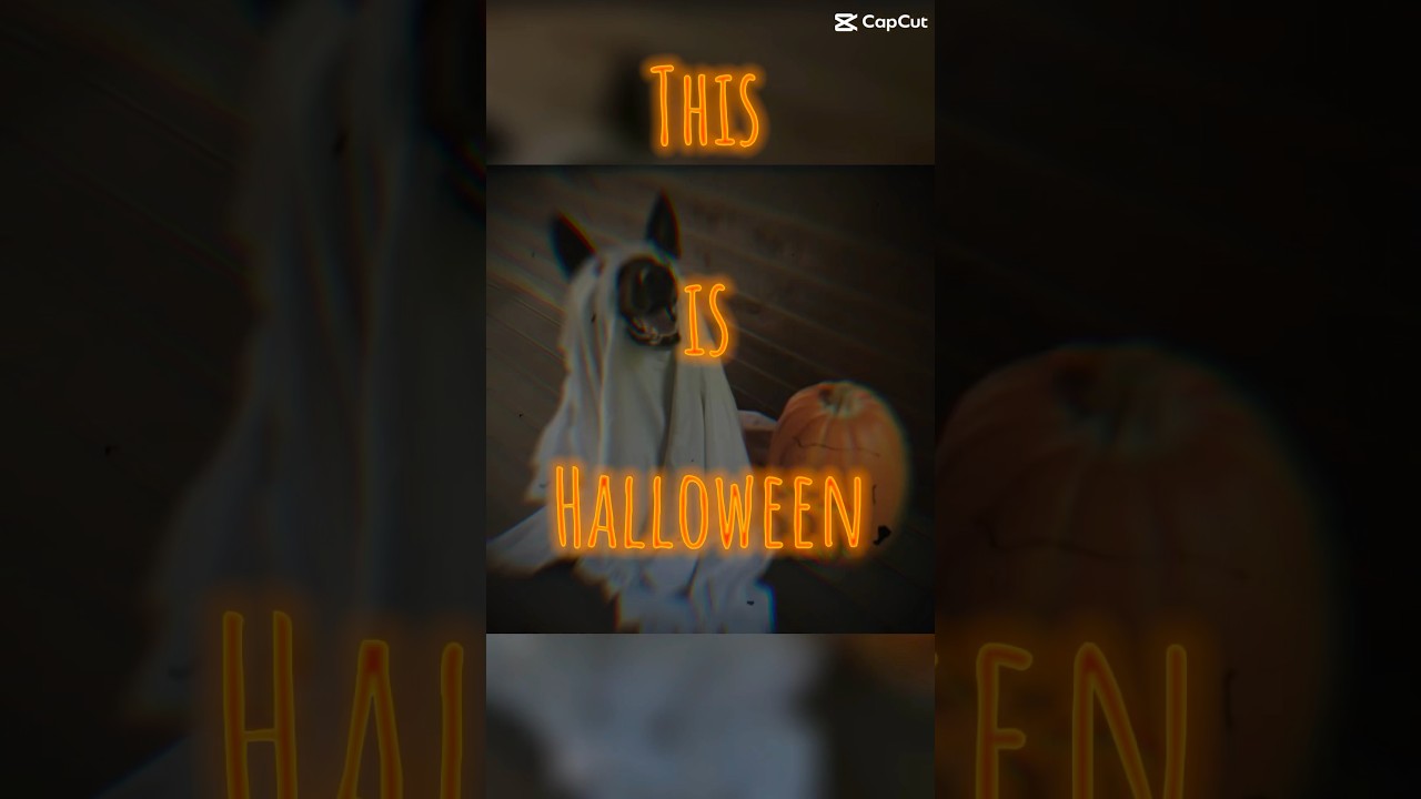 Halloween is coming……