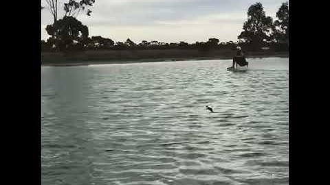 Melbourne Cable Park Accessible Wakeboarding.