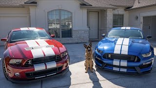 Shelby GT350 vs. SVT Shelby GT500 - Which One Is Right For You?