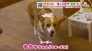 家具の街…職人愛で