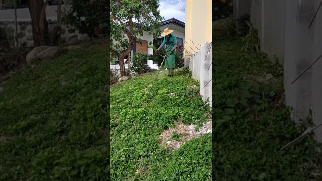 STEEP SLOPES GRASS CUTTING/TRIMMING THE GRASS USING GRASS CUTTER, YouTube