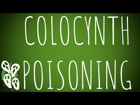 Video: >> Colocynth - Sifat Berguna Dan Penggunaan Colocynth, Kontraindikasi