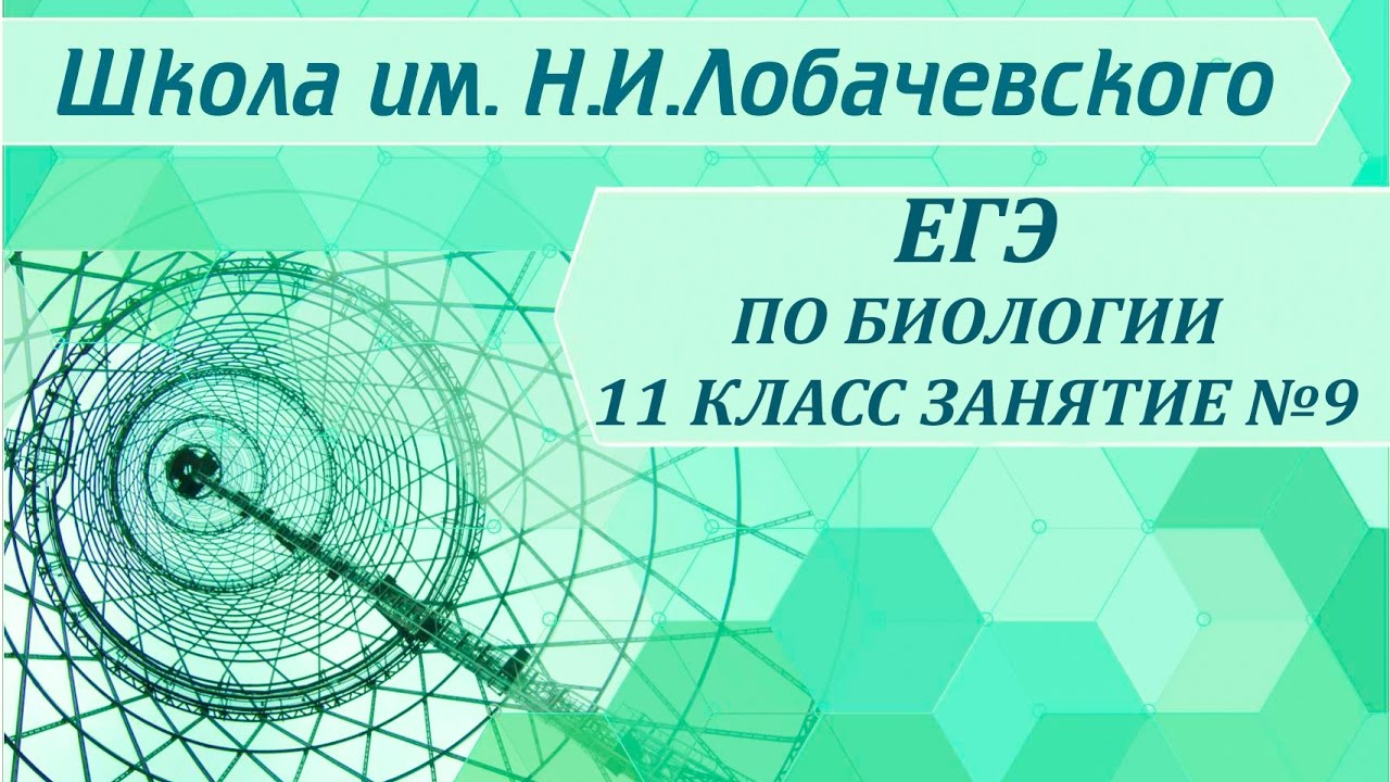 ЕГЭ по биологии 11 класс Занятие №9 Царство животные. Подцарство многоклеточные. Класс земноводные