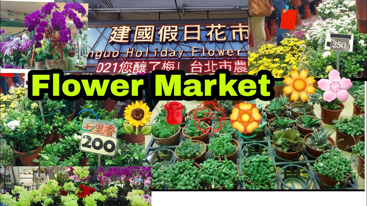 Jianguo holiday flower market,Daan park,Taipei, Taiwan YouTube