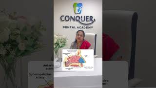 Little’s area ( Kiesselbach plexus) #mdsconquer # #dentistryworld #humananatomy #anatomy #neetmds