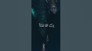 لا تحزن ان الله معنا/ القارئ عبدالرحمن مسعد #قرآن