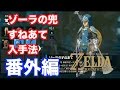 【ゼルダの伝説 BREATH OF THE WILD】 ゾーラの兜・すねあて入手法 実況 番外編