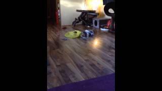 The Gang Saying Hello To Their Tdk Family