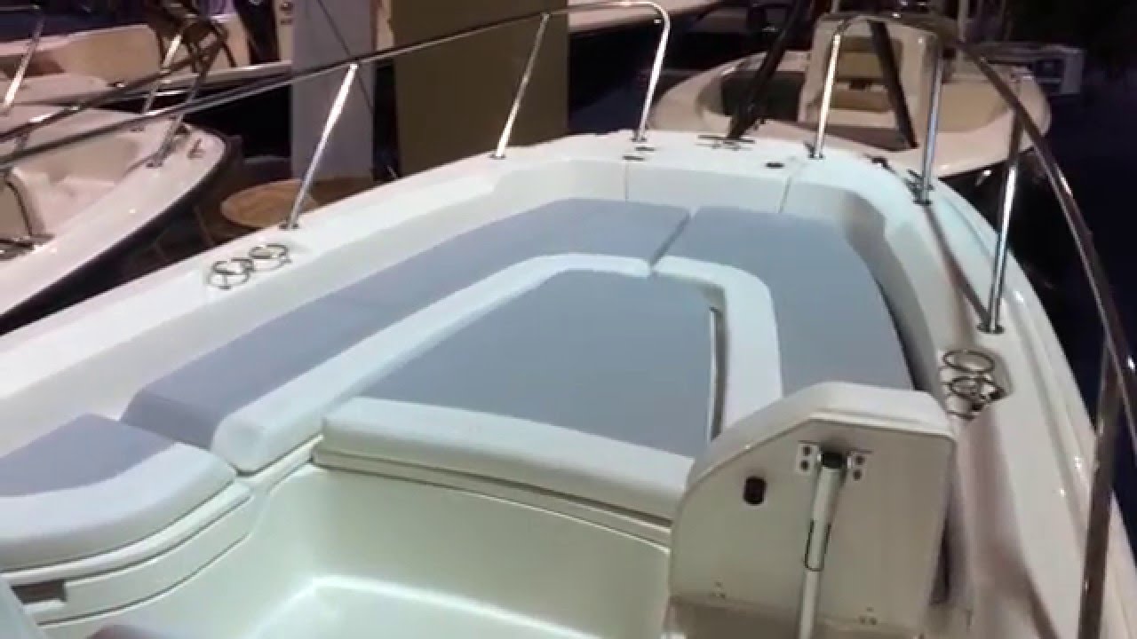 Boston Whaler 240 Dauntless Boat for Sale Charleston SC Boat Dealer