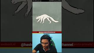 550 Million Years of Human Evolution #shorts #youtubeshorts