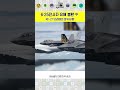 새 국무총리, 한성숙 #중소벤처기업부장관 #여성 #CEO