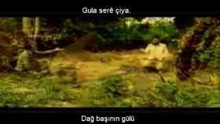 Koma Mazluman - Gula Serê Çiya (Türkçe Altyazı)