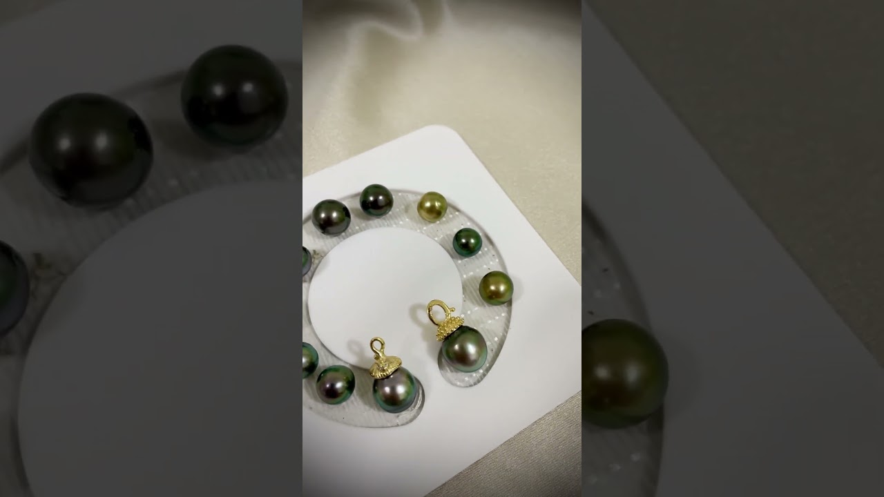 新到貨黑蝶珍珠 