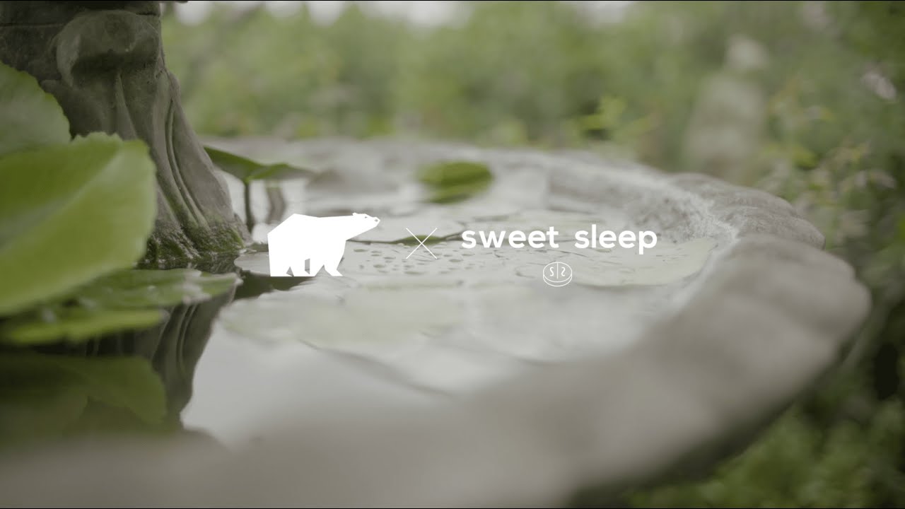 Ver 甜蜜夢境 Sweet Sleep - 平凡 Same Love 幕後花絮 en YouTube