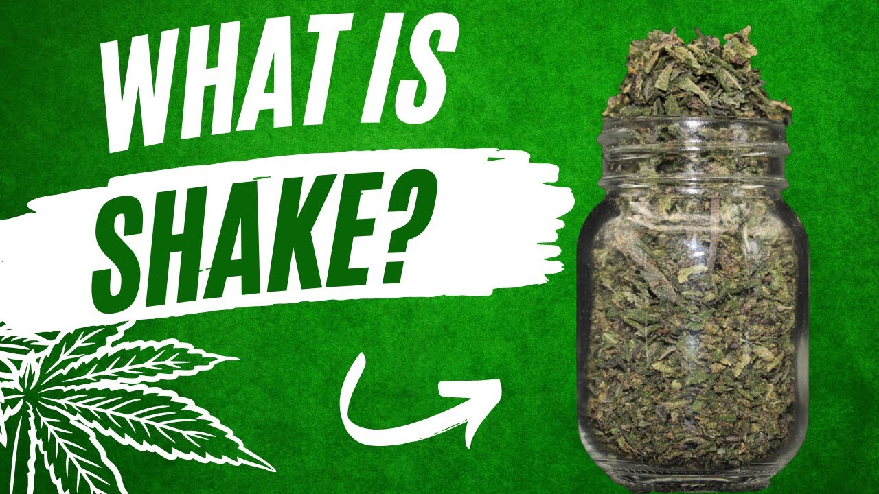 What is Cannabis Shake & How do you use it | 