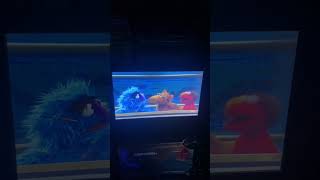 Sesame Street We All Sing Together DVD Preview