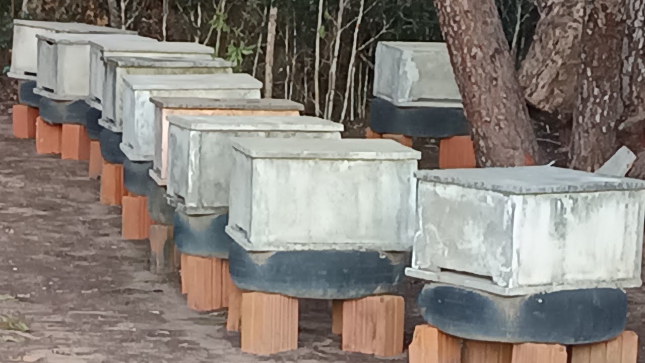 Colméias de cimento 