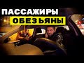 ТУПЫЕ ПАССАЖИРЫ В ТАКСИ|НЕАДЕКВАТНЫЙ ТАКСИСТ