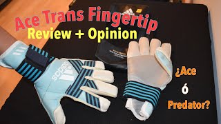 REVIEW - ACE TRANS FINGERTIP YouTube