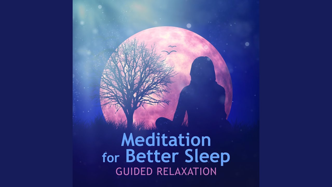 Guarda Sounds for Serenity (Woodland Stream Noise) su YouTube