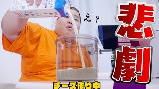 【盲点】 手作りチーズ作るのに１ヶ月かかった理由が酷すぎるｗｗｗ