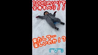 １００均のソリで、全身で滑る大ちゃん…本当に楽しいのか！？(￣▽￣;)