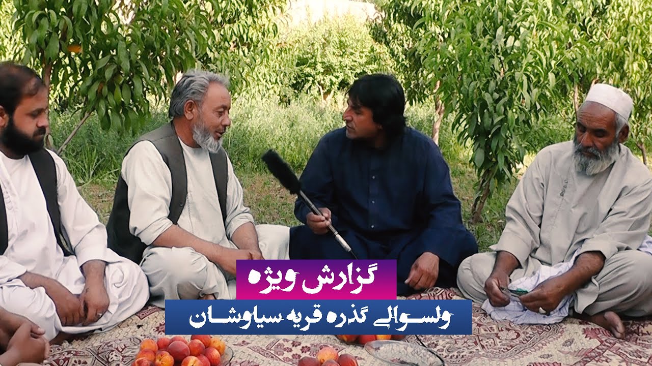 #گزارش ویژه #نعیم #جانو از ولسوالی #گذره قریه #سیاوشان