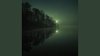 echo of silence