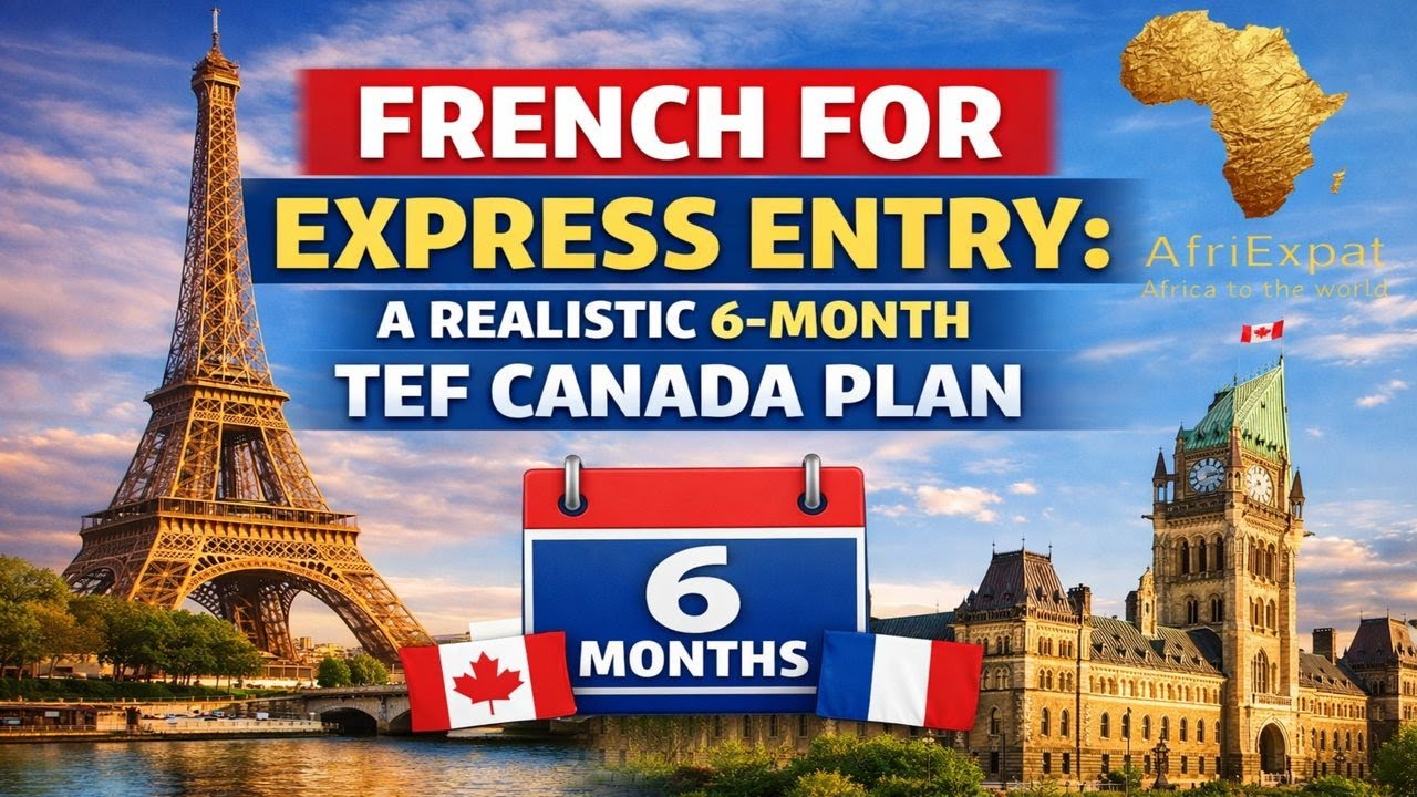 From Zero French to TEF Canada: A Beginner Friendly 6-Month Plan