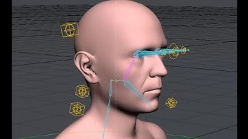 LightWave 11.5 Genoma Rigging- Volume 2