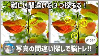 Brain Training with Photo Spot-the-Differences! #1394 "Colorful Autumn Leaves," "Hotaka Mountains... screenshot 3