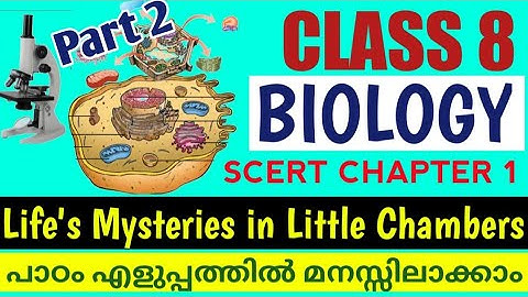 Scert Class 8 Biology Chapter 1 Life