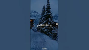 مقاطع قرآن دينية قصيرة || القارئ #ياسر_الدوسري