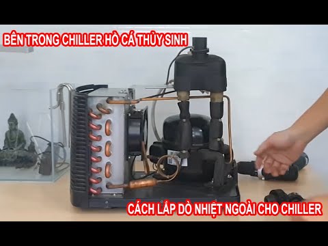 Video Bên trong Chiller hồ cá thủy sinh, chiller hồ cá biển... - youtube