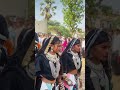 Aadivasi new video 2026 trending short #aadivasi #short #trending #timli